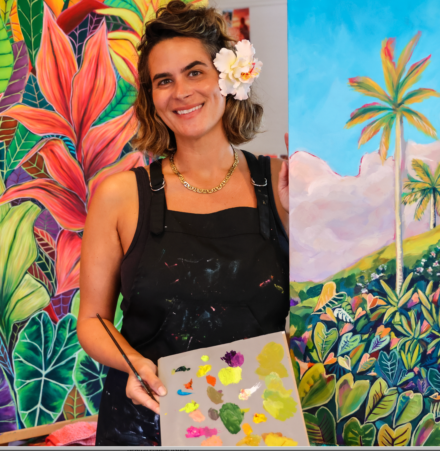 Hawaii top artists to buy paintings now