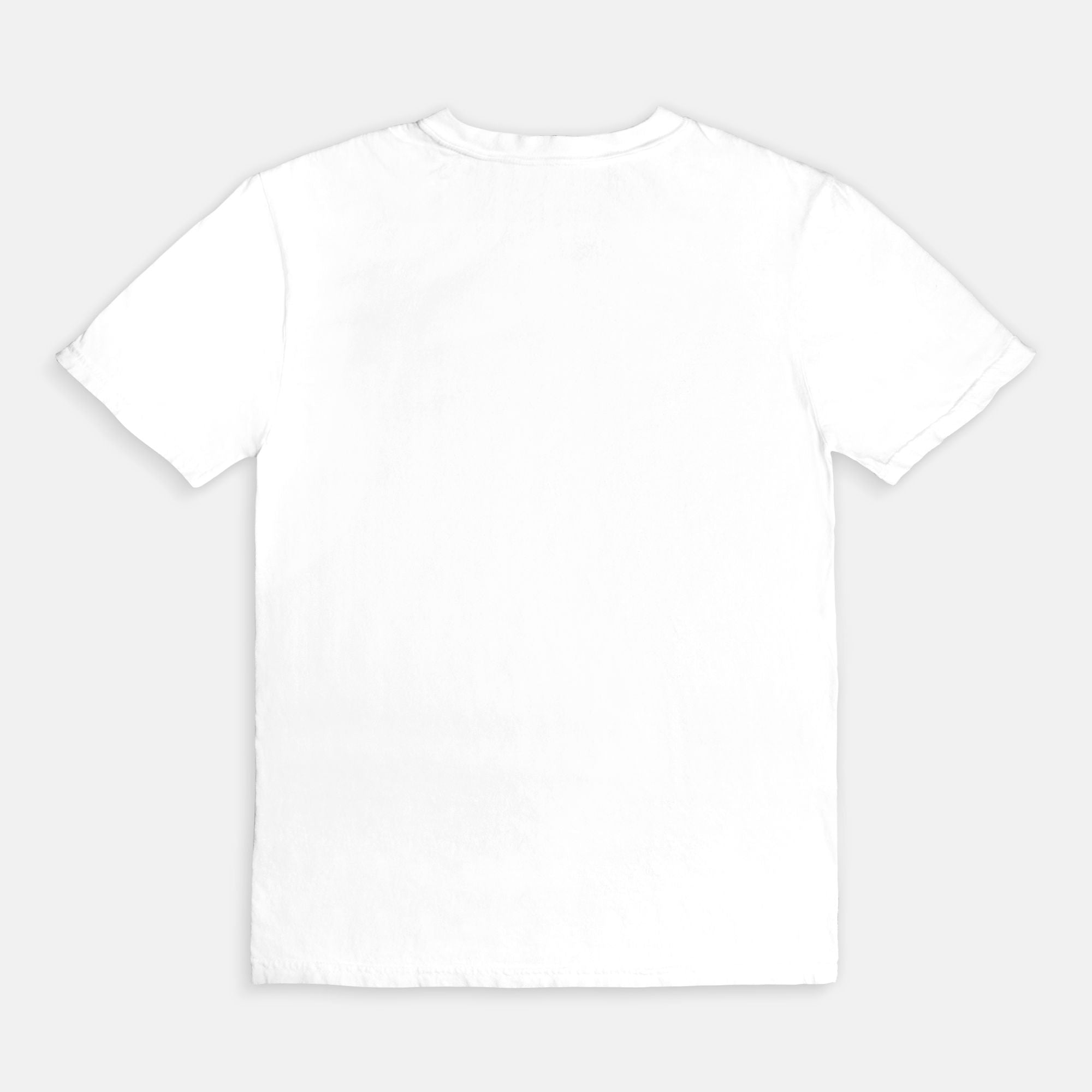 Comfort Colors Tee 1717
