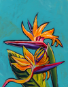 Birds of paradise - Rare Originals - The Pink Series - MICHAL ART STUDIO HAWAII -