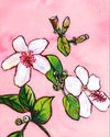 White Hibiscus - Rare Originals - The Pink Series - MICHAL ART STUDIO HAWAII -